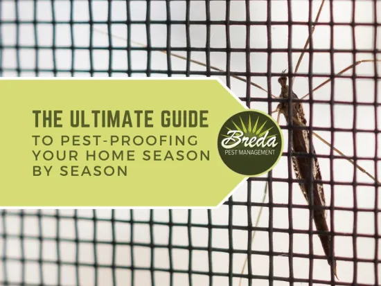 ultimate guide to pest proofing your home mosquito on window screen