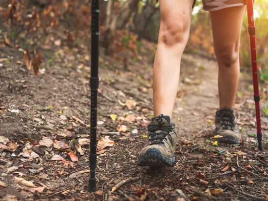 breda offers wildlife control solutions in atlanta