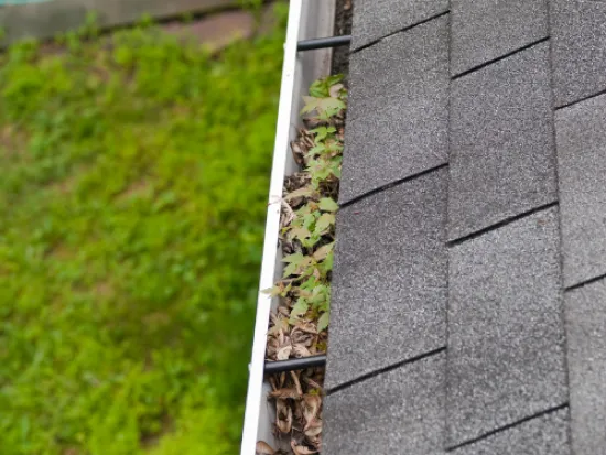 atlanta pest management solutions