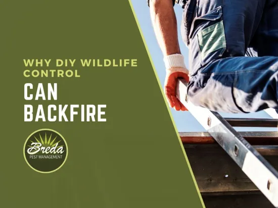 a person using a ladder to lift a ladder