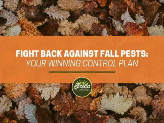 fall pest prevention pile of fallen leaves