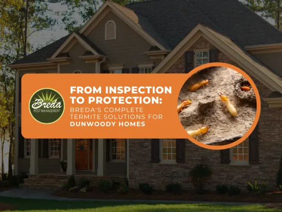 Dunwoody home exterior termite prevention BREDA Pest Management