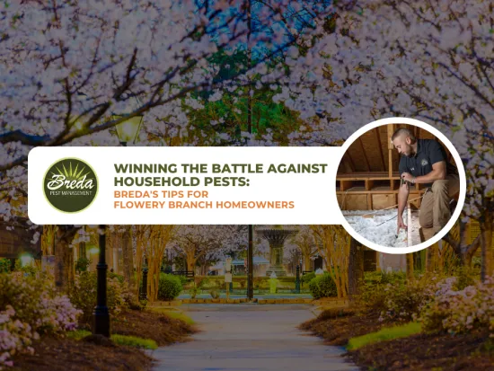 pest control for houses in flowery branch georgia BREDA Pest Management