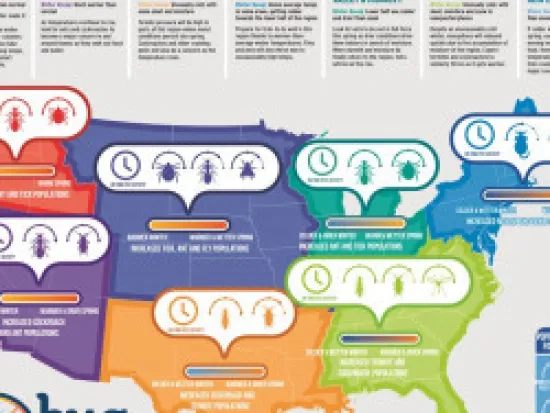 an image of the United States