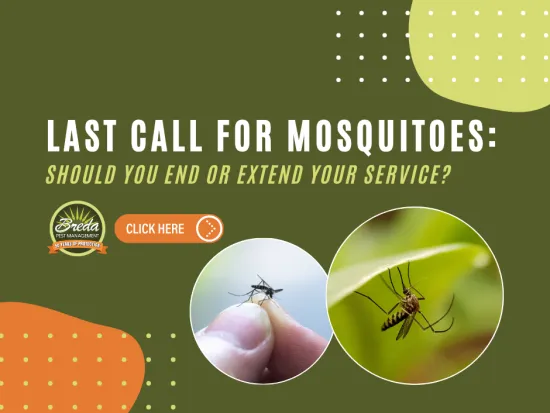 Last call for mosquito control with options to end or extend pest management service for protection.