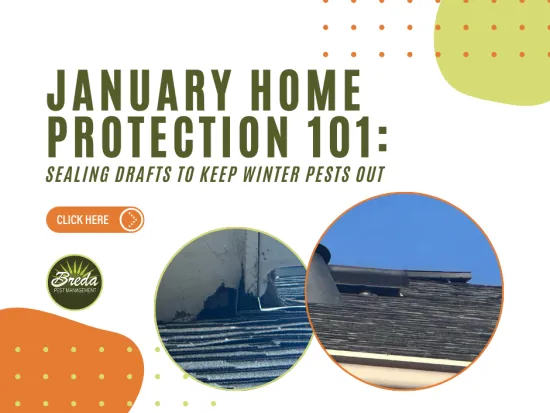 January home protection tips showing roof sealing to prevent winter pests with Breda Pest Management logo