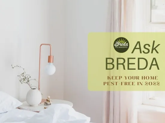 get pest control solutions in atlanta