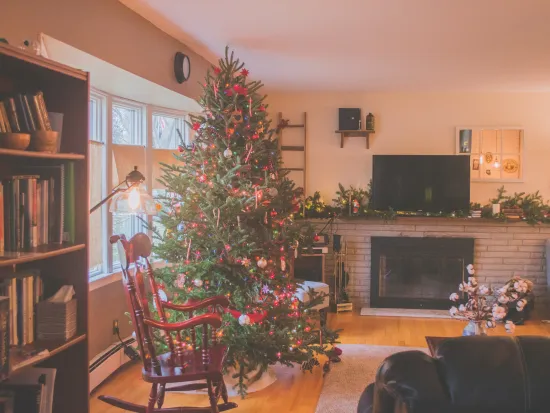 pest management in atlanta for this christmas season