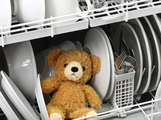 pest control services in atlanta