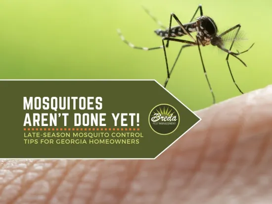 a mosquito biting a person's hand fall mosquito control in Georgia