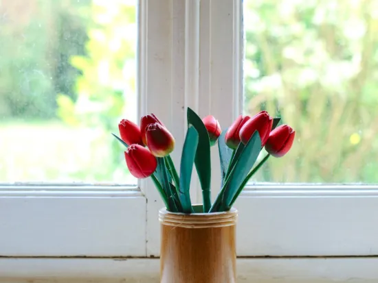 get pest control services in atlanta