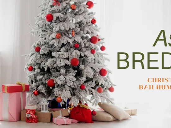 breda offers pest management services in atlanta during the christmas season