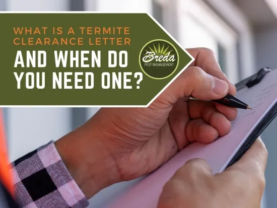 a hand holding a pen