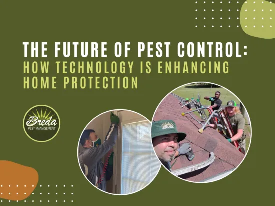 Collage showcasing Breda Pest Management staff using technology for pest control solutions.