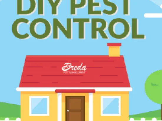 breda offers pest control services in atlanta
