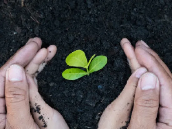 a hand holding compost