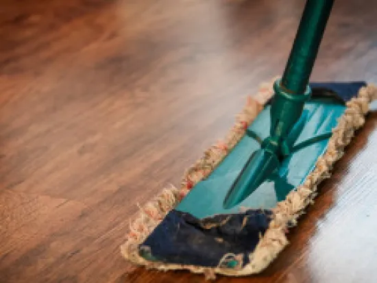 get pest extermination solutions in atlanta