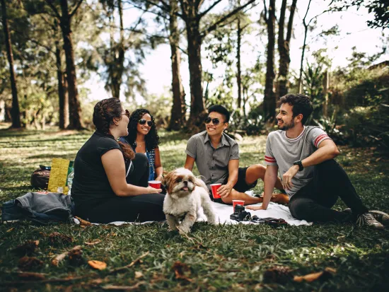 a group of people sitting on a blanket outside with a dog