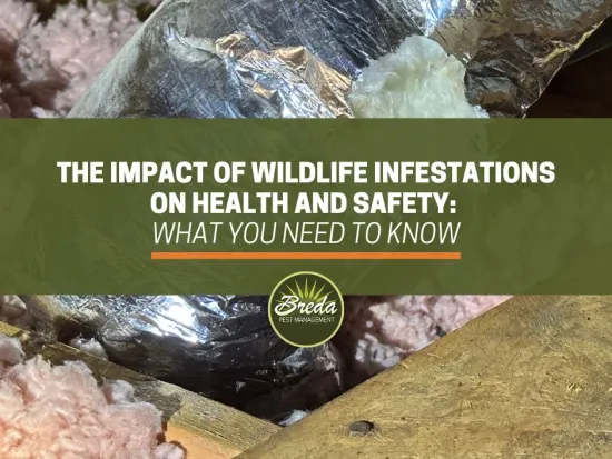 wildlife infestation signs chewed hole in HVAC ductwork