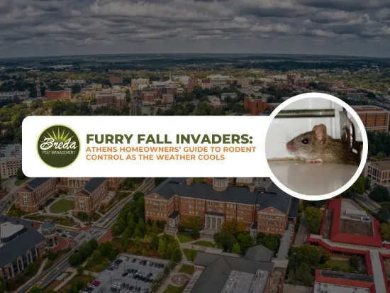 picture of Athens GA rodent control in Athens GA