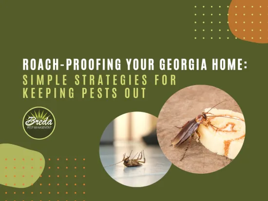 roach control in Georgia roach proofing your home