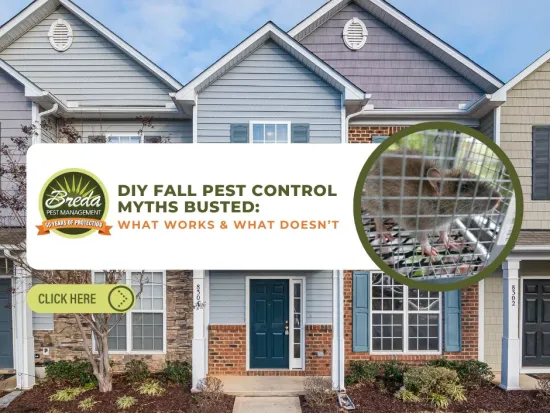 Townhouse exterior with a pest control ad featuring a trapped rat and fall pest control myths text.