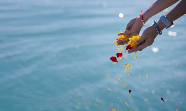 a person's hand reaching for a pile of colorful objects