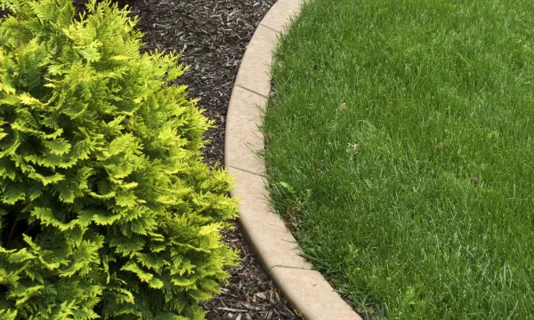 a small garden with a small pond