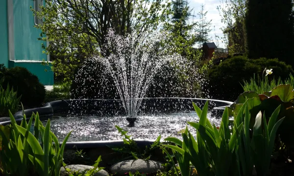 a fountain in a garden