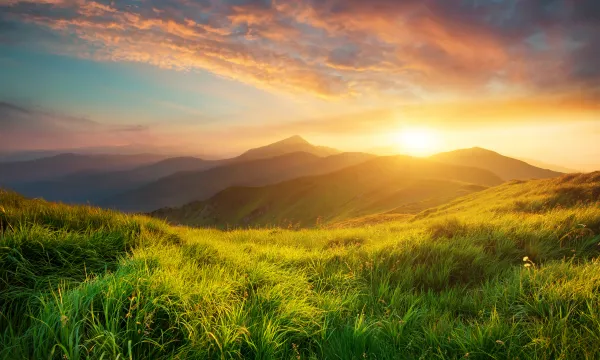 a grassy field with a sunset