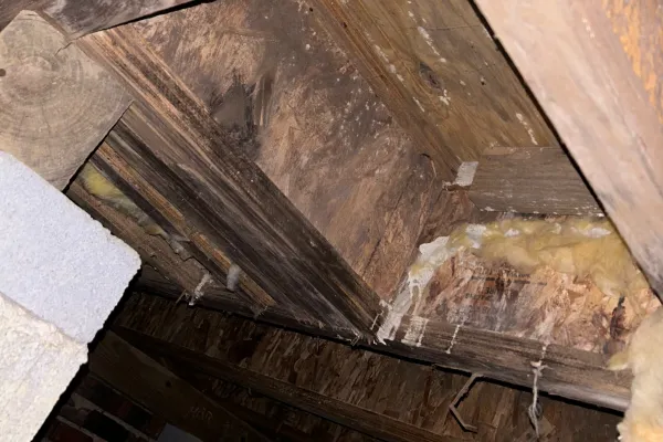 Wooden crawl space ceiling with visible insulation, wooden beams, and concrete block walls under a house.