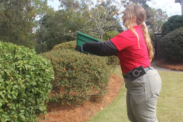 a woman holding a green bin applying pest control