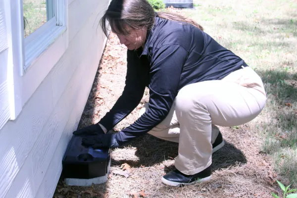 Person installing a rodent bait station outside a house near the foundation in daylight.