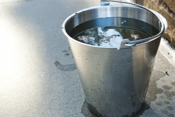 Metal bucket filled with water and floating leaves sitting on a concrete surface near a brick wall.