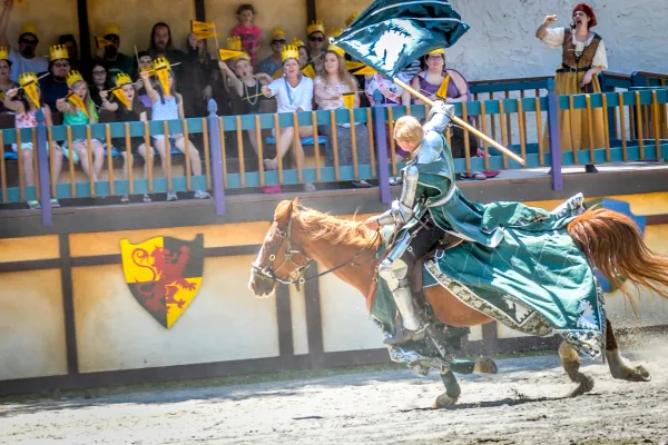 Image for Premium Joust Seating Puts You in the Action!