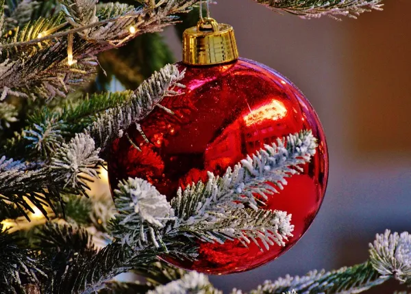 Holiday Pest Control Tips
