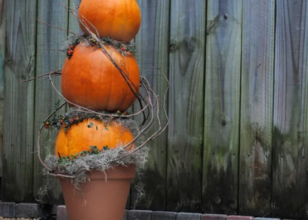 DIY Projects | Armstrong Garden Centers