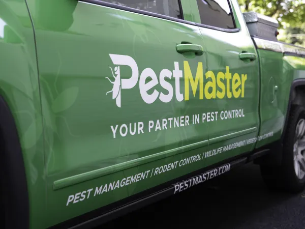 a green van with white text