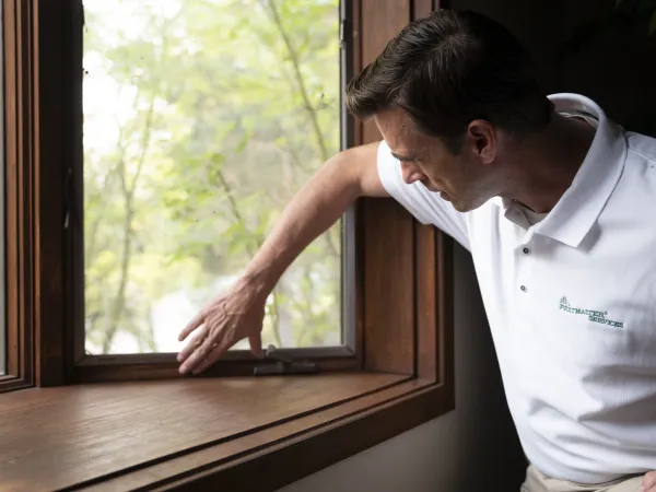 a man leaning on a window