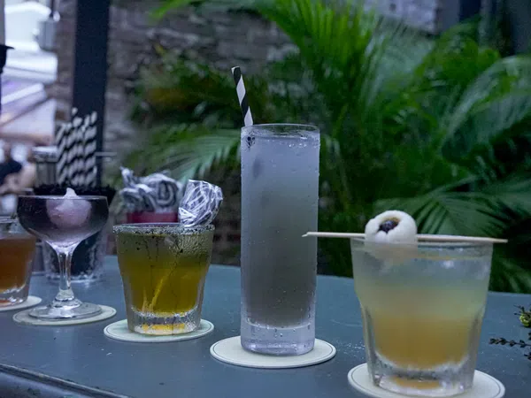 Assorted cocktails in different glasses on a bar counter with greenery in the background at dusk.