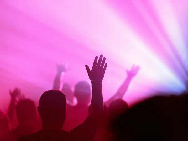 Silhouettes of people raising hands in a vibrant pink and purple light at a concert or event.