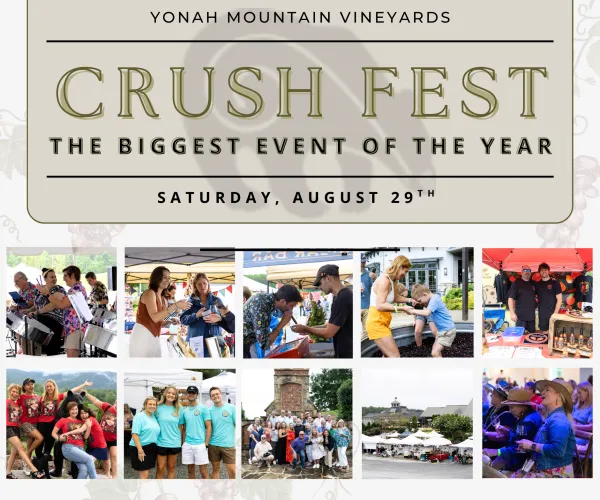 Yonah Mountain Vineyards Crush Fest event on August 29 with music, grape stomping, vendors, and community gathering outdoors.
