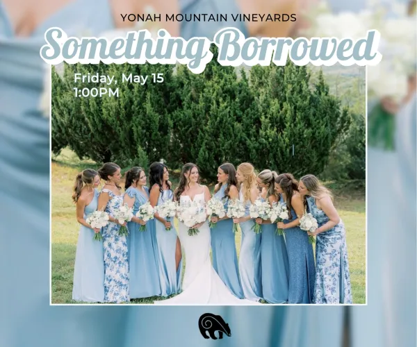 Bride with eight bridesmaids in blue dresses holding white bouquets outdoors at Yonah Mountain Vineyards event.