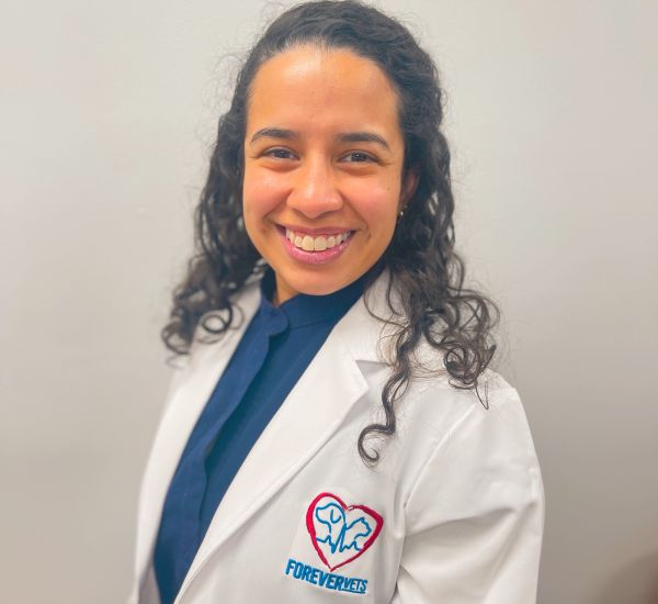 Animal Hospital In Race Track Road St Johns, FL Forever Vets