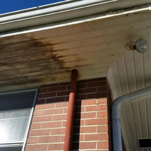 a house with mold on the roof