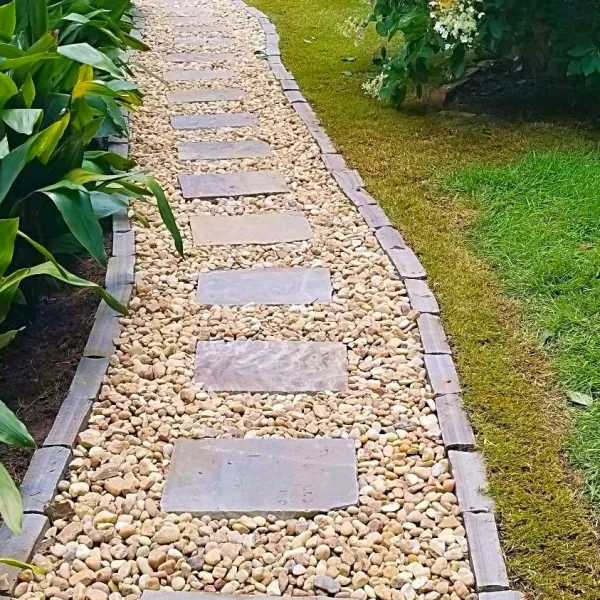 a stone pathway with grass and plants
