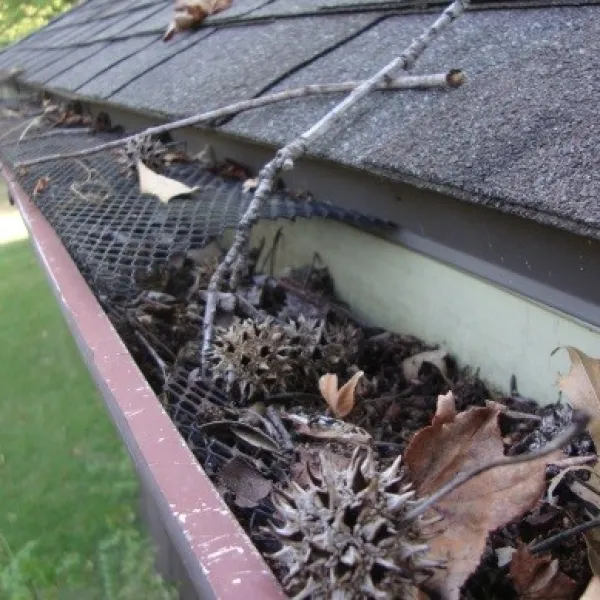 a gutter full of leaves