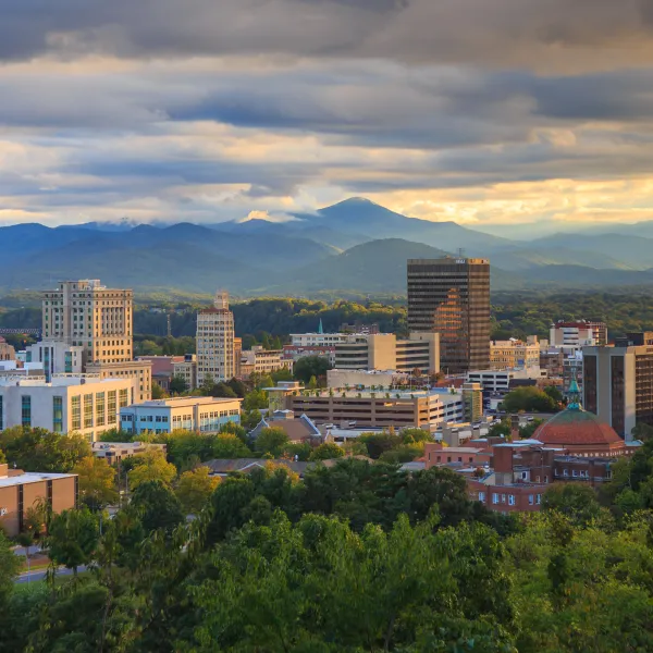 a city with trees and mountains in the background