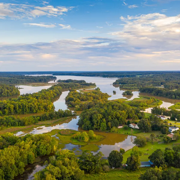 a river with trees and buildings