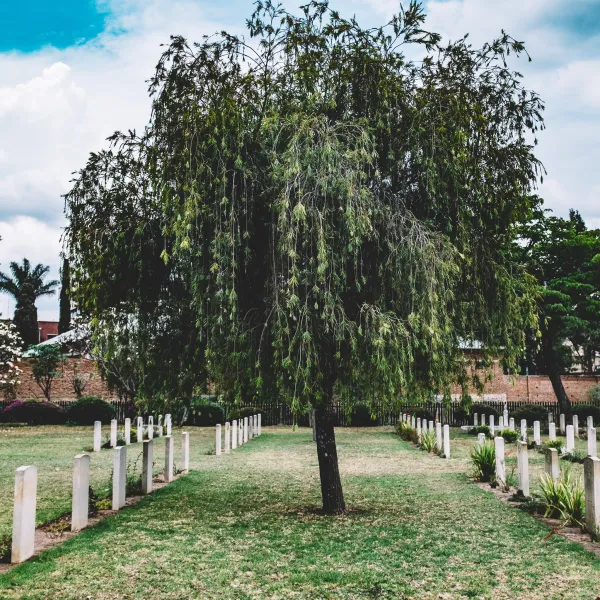 types of burial